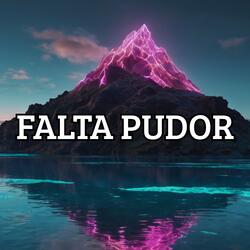 Falta pudor