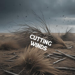 Cutting Winds