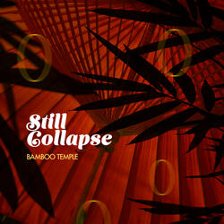 Still Collapse