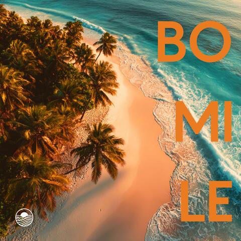 Bò mi le
