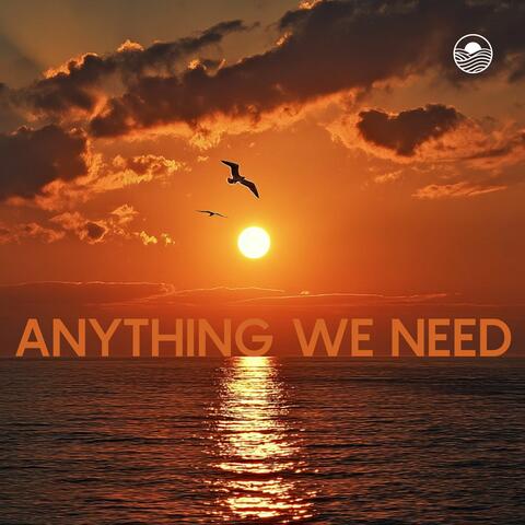 Anything We Need