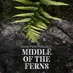 Middle Of The Ferns