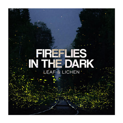Fireflies In The Dark