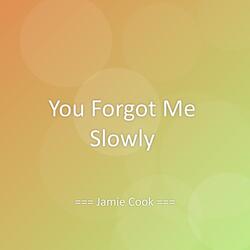You Forgot Me Slowly