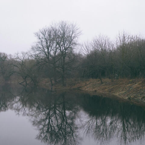River in the Fog