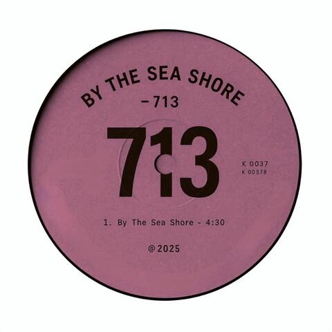 713 (DELUXE)