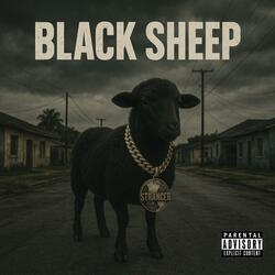 Black Sheep