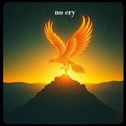 no cry