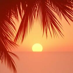 Can’t Not Love You