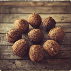 Coconut Shells and Sunday Fights