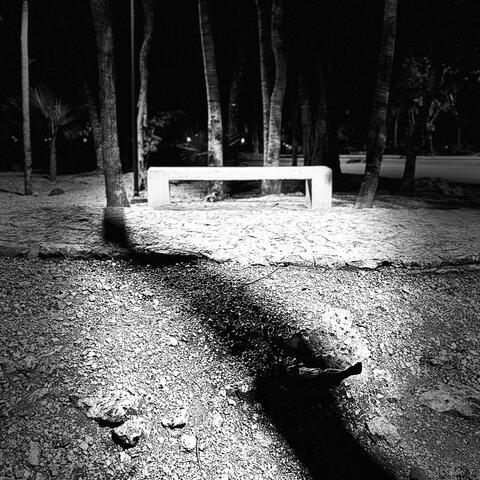 Baile De Media Noche