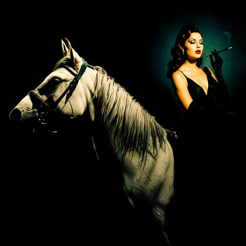 Let's Take It Off The Shelf