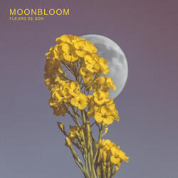 Moonbloom