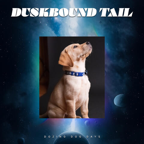 Duskbound Tail
