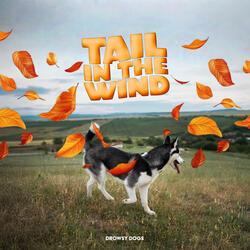 Tail in the Wind
