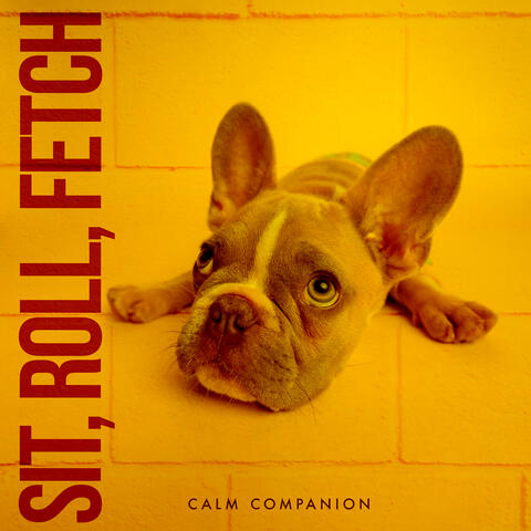 Sit, Roll, Fetch