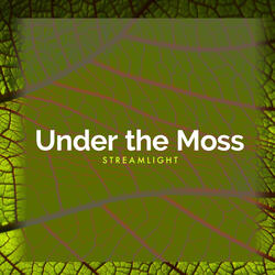 Under the Moss
