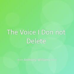 The Voice I Don not Delete