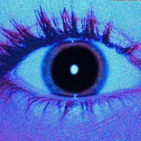 XP