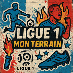 Ligue 1, mon terrain