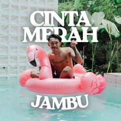 Cinta Merah Jambu