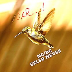 VOAR