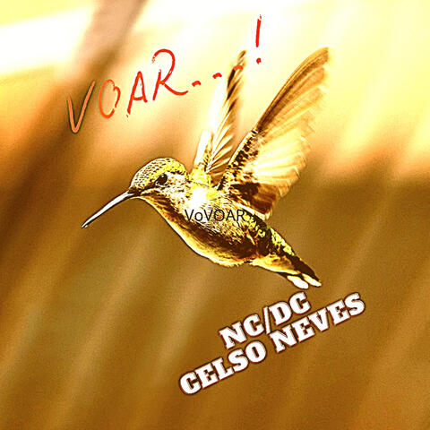 VOAR