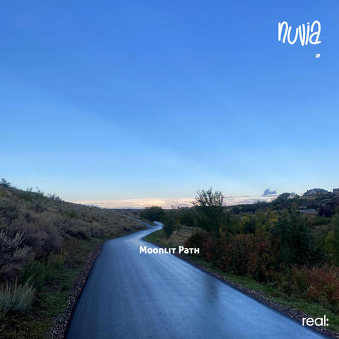 Moonlit Path