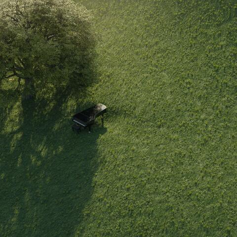 Sleeping Grassland Classic Gentle piano and accompanying melody