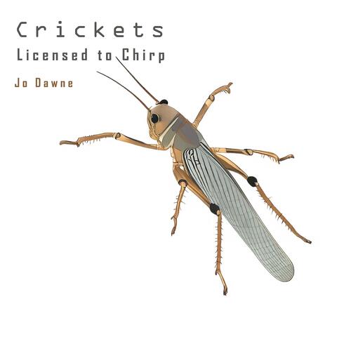 Crickets Licensed to Chirp