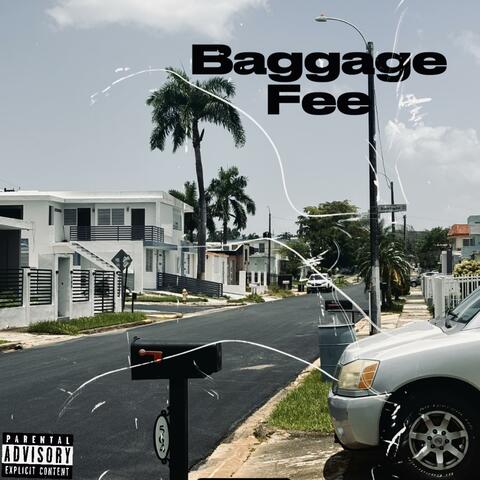 Baggage Fee
