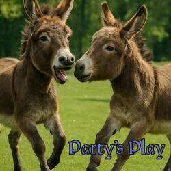 Party's Play
