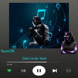 Echo's in the Dark