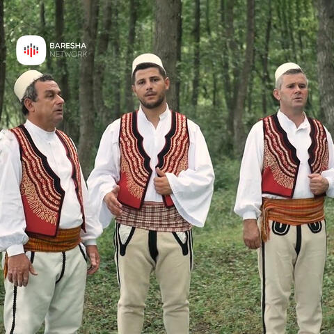 Kurr nuk shuhen yjet e Dibres