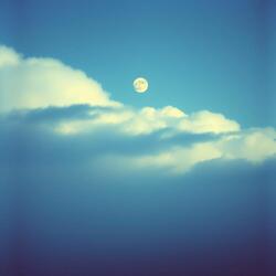 Midnight Melodies