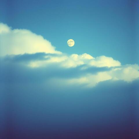 Midnight Melodies