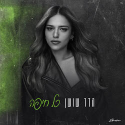 כל חיפה