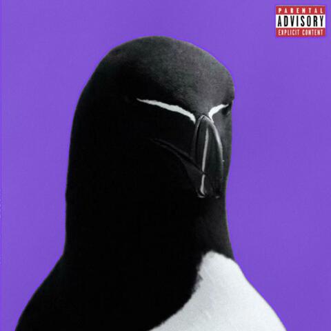 RAZORBILL (Deluxe)