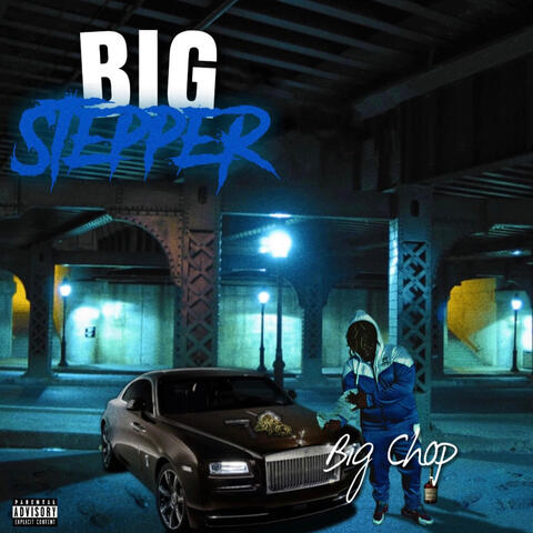 Big Stepper