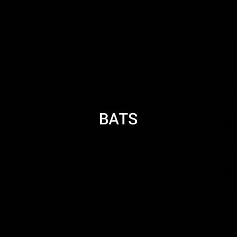 BATS