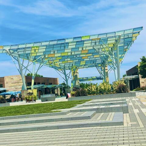 Catch Me A Shooting Starr