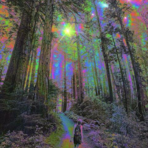 SHROOM CITY
