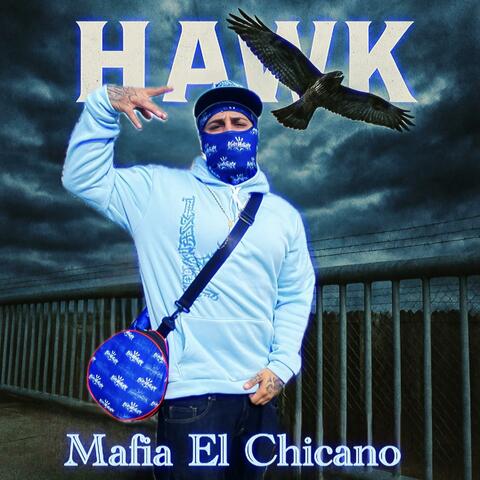 Hawk