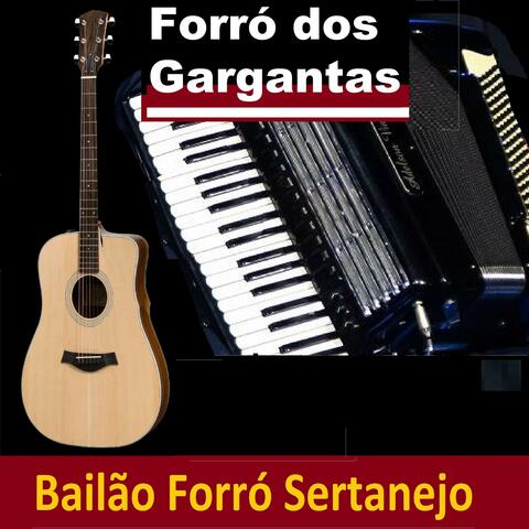 Bailão Forró Sertanejo