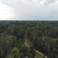 Hanya Aku yang Menunggu