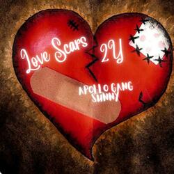 Love Scars