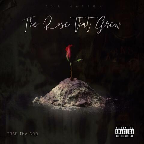 The Rose That Grew