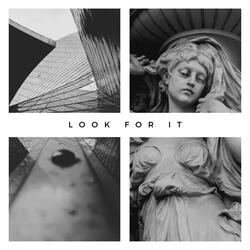Look For It