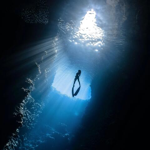 Emerge