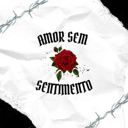 Amor Sem Sentimento